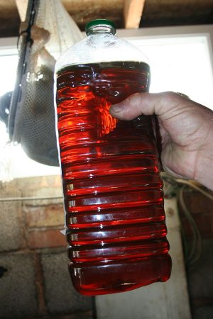 After being passed through the 2 filters, this is what you end up with - clear vegetable oil ready to be mixed with diesel