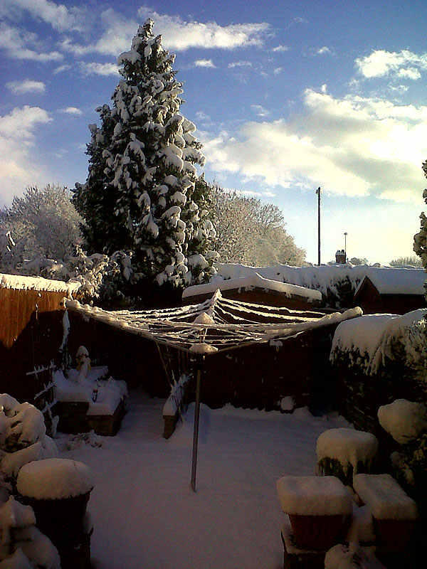 Back garden in Cullompton