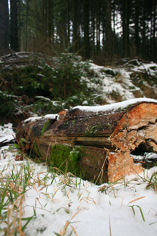 Dartmoor