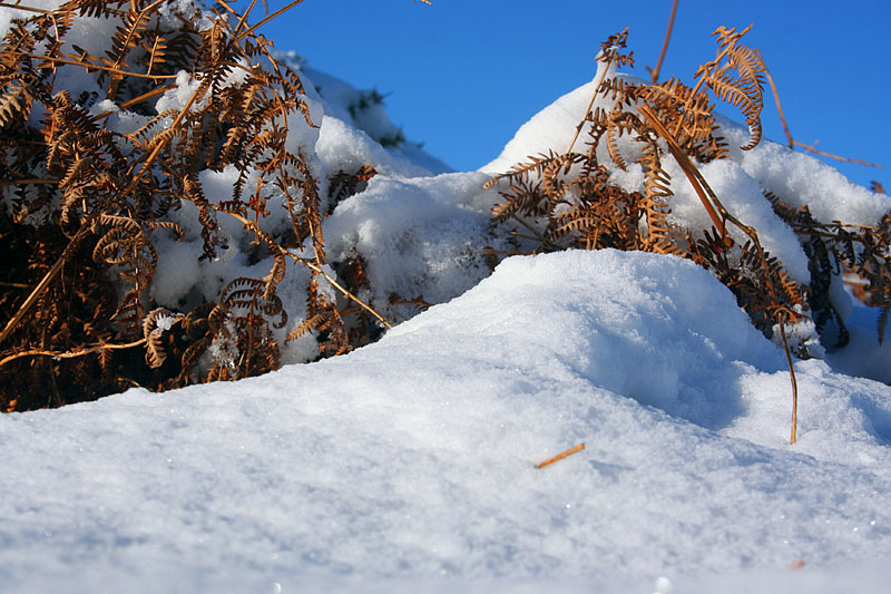Dartmoor snow