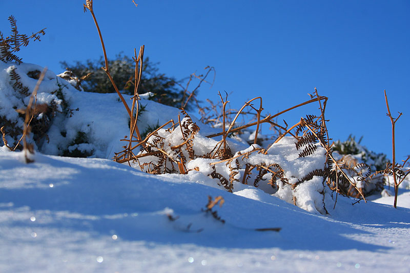 More Dartmoor snow