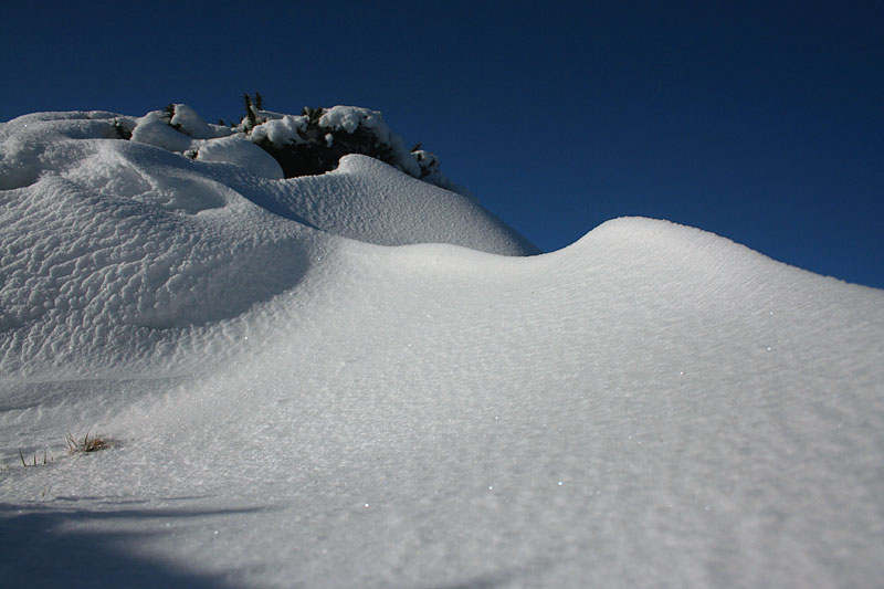Dartmoor snow