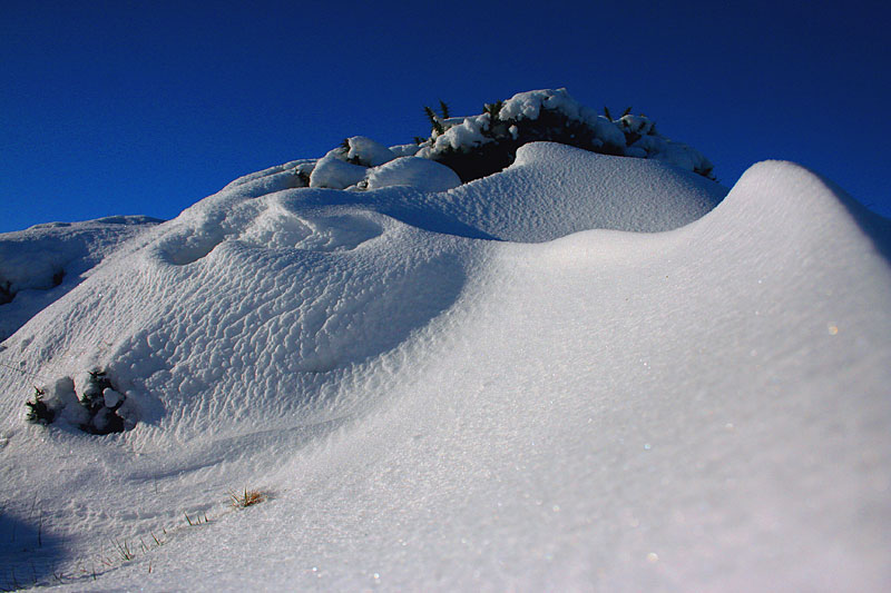 Dartmoor snowscape!