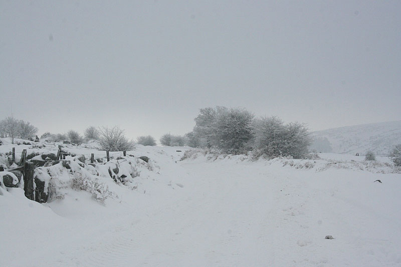 A Dartmoor road!