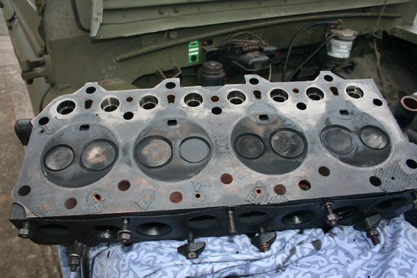 The head - minutes after being removed