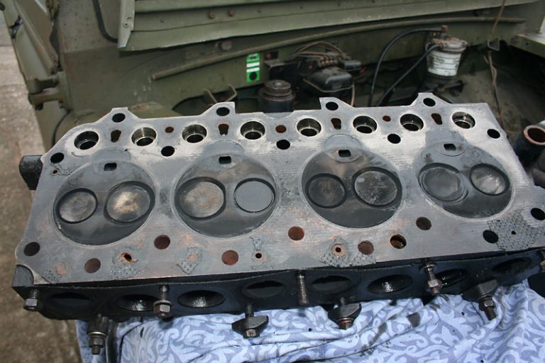 The head - minutes after being removed
