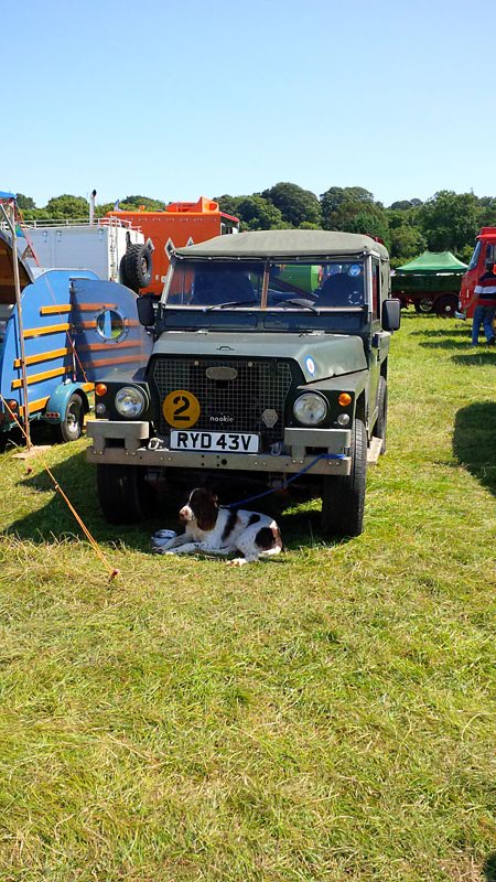 Getting some shelter from the sun under this Land Rover Lightweight